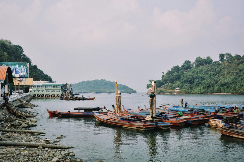 Mangrove Kayaking Experience